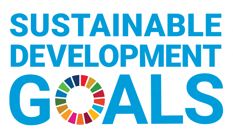 United Nations Sustainable Development Goals (SDG) logo, representing commitment to global health and well-being